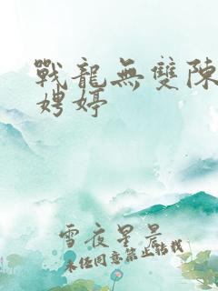 战龙无双陈宁宋娉婷