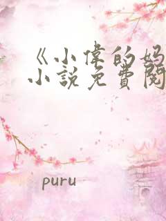 《小伟的妈妈》小说免费阅读