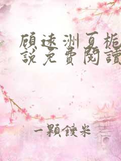 顾远洲夏栀栀小说免费阅读最新章节