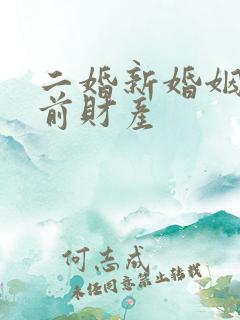 二婚新婚姻法婚前财产