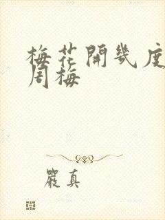 梅花开几度老张周梅