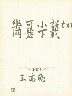 乐可小说txt网盘下载