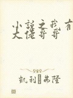 小说之我有七个大佬哥哥