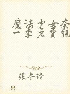 魔法少女奈叶第一季免费观看完整版