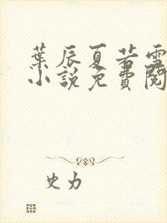 叶辰夏若雪完本小说免费阅读