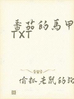 番茄的马甲小说TXT