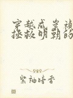 穿越成崇祯帝,拯救明朝的小说