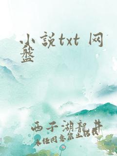 小说txt 网盘