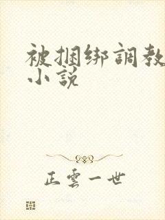 被捆绑调教少妇小说