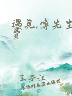 遇见,傅先生免费