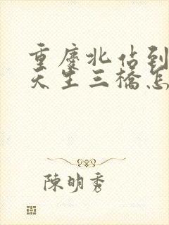 重庆北站到武隆天生三桥怎么走