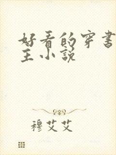 好看的穿书双男主小说