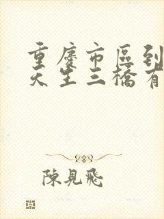 重庆市区到武隆天生三桥有多远