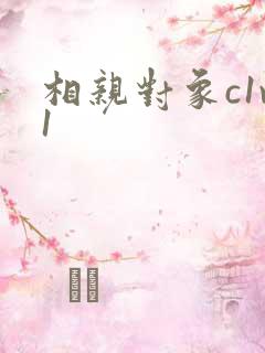 相亲对象c1v1