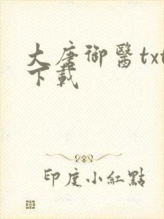 大唐御医txt下载