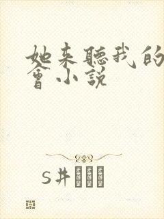 她来听我的演唱会小说