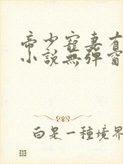 帝少宠妻有点甜小说无弹窗