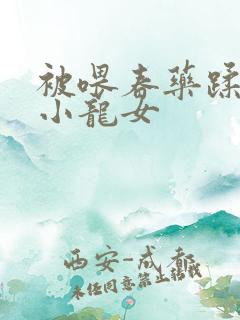 被喂春药蹂躏的小龙女