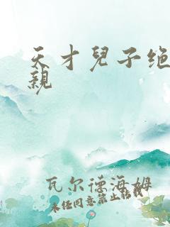 天才儿子绝色娘亲