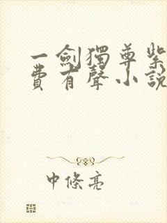 一剑独尊紫襟免费有声小说