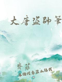 大唐盗帅笔趣阁