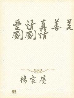 爱情真善美电视剧剧情