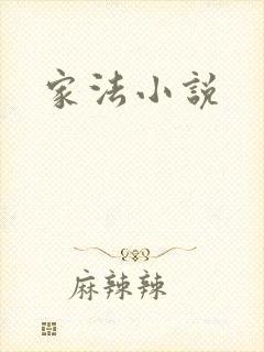 家法小说