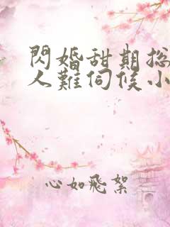 闪婚甜期总裁大人难伺候小说