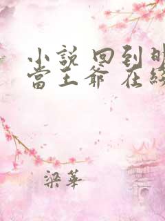 小说 回到明朝当王爷 在线阅读