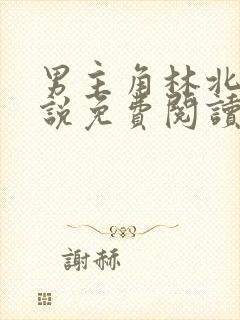 男主角林北的小说免费阅读