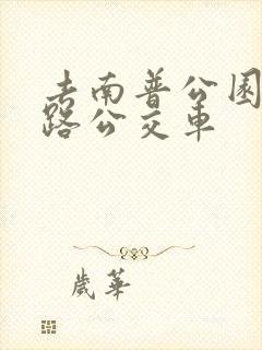 去南普公园坐几路公交车