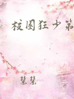 校园狂少第二部