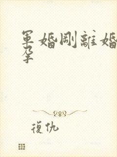 军婚刚离婚就怀孕