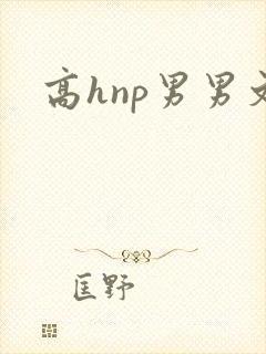 高hnp男男文