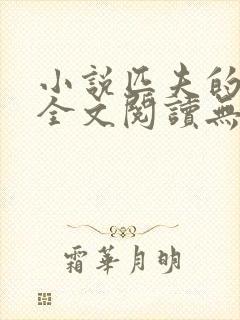 小说匹夫的逆袭全文阅读无弹窗