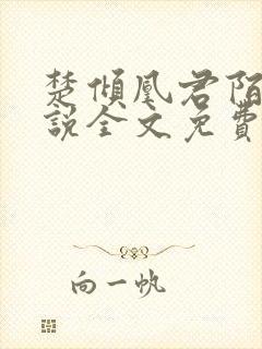 楚倾凰君陌尘小说全文免费阅读