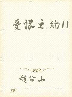 爱恨之约11
