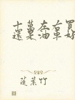 十万左右买电车还是油车好