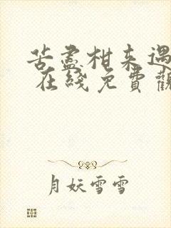 苦尽柑来遇见你 在线免费观看