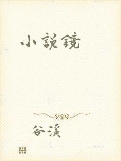 小说镜