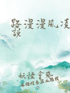 路漫漫风凌轩小说