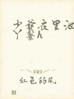 少爷夜里泄欲小丫鬟h