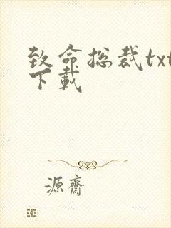 致命总裁txt下载