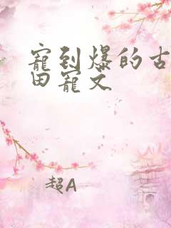 宠到爆的古言种田宠文