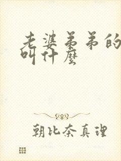 老婆弟弟的媳妇叫什么