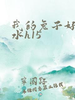 我的兔子好多软水h15