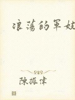 浪荡的军妓h