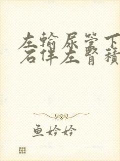 左输尿管下段结石伴左肾积水怎么治疗