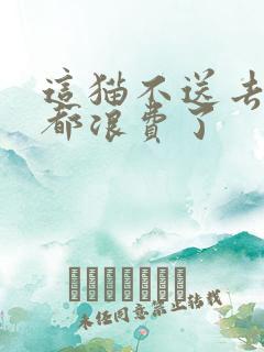 这猫不送去清北都浪费了