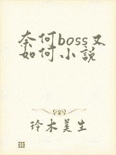 奈何boss又如何小说